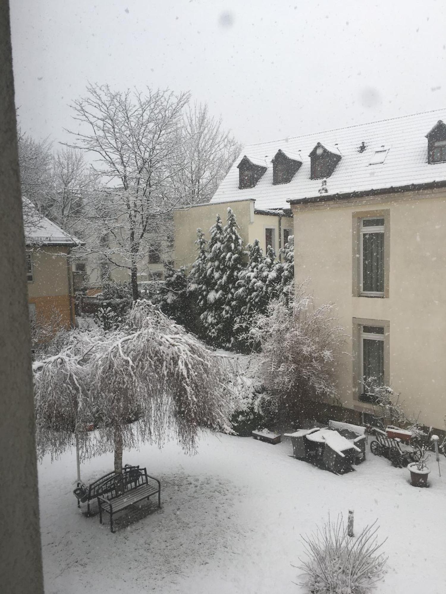 Apartments Und Zimmer Gaestehaus Matthias ドレスデン エクステリア 写真