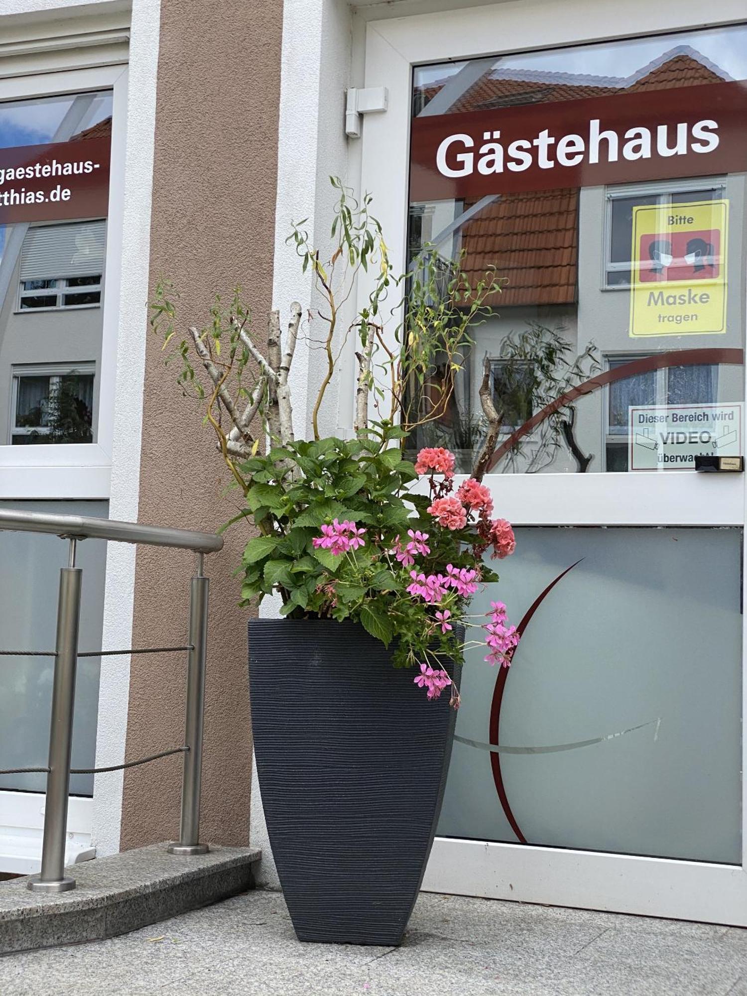 Apartments Und Zimmer Gaestehaus Matthias ドレスデン エクステリア 写真